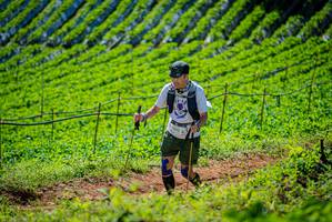 BIB: 1242
                            <button type="button" onclick="openModal(19163022)" class="btn btn-primary btn-sm float-right btn-popup" data-toggle="modal" data-target=".modal-high-quality">
                        <i class="fas fa-shopping-cart"></i> Add to Cart
                    </button>
                                            <button type="button" onclick="isThisMe(19163022, true)" class="btn btn-success btn-sm float-right btn-popup btn-isme hidden" data-toggle="tooltip" data-placement="bottom" title="นี่คือรูปของคุณใช่ไหม คลิกที่นี่เพื่อเอาเข้าอัลบั้ม">
                        <i class="fas fa-plus"></i> Add to album
                    </button>
                    <button type="button" onclick="isThisMe(19163022, false)" class="btn btn-warning btn-sm float-right btn-popup btn-isnotme hidden">
                        <i class="fas fa-ban"></i> Remove from album
                    </button>